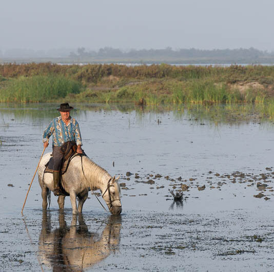 camargue-aguila_voyages-chevaux-marais