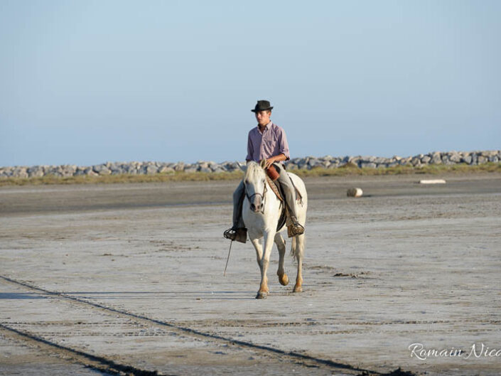 camargue-aguila_voyages-chevaux-plage