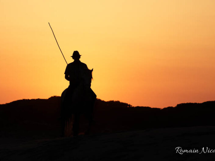 camargue-aguila_voyages-chevaux-plage