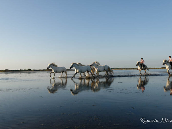 camargue-aguila_voyages-chevaux-plage