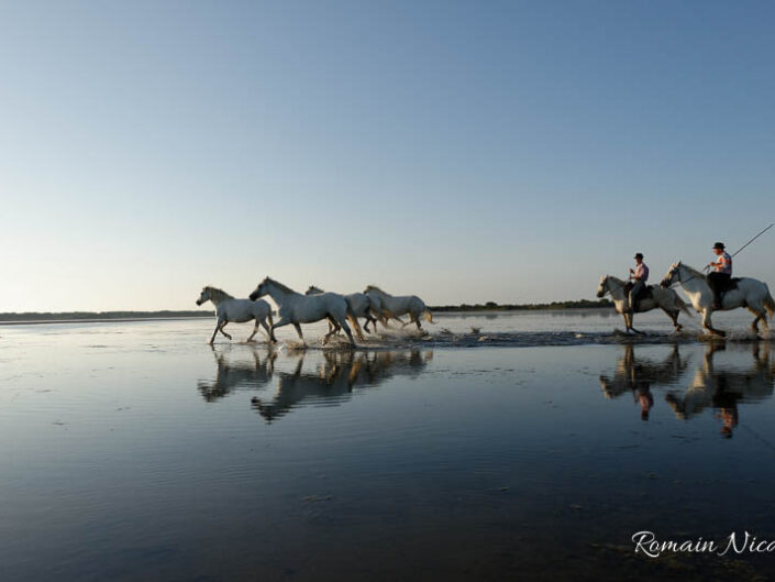 camargue-aguila_voyages-chevaux-plage