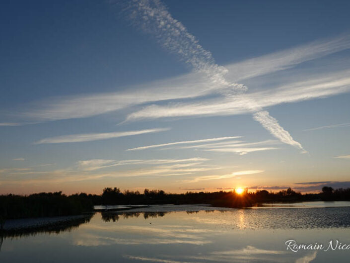 camargue-aguila_voyages-pont_de_gau