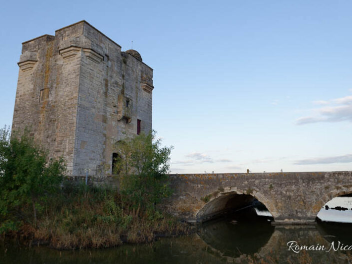 camargue-aguila_voyages-tour_carbonniere