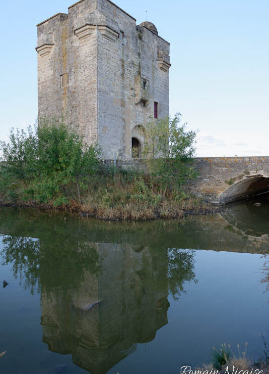 camargue-aguila_voyages-tour_carbonniere