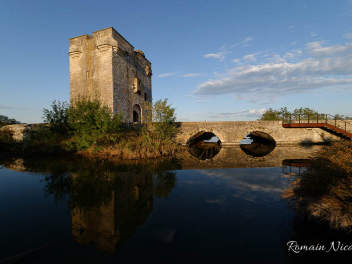 camargue-aguila_voyages-tour_carbonniere