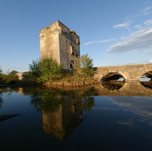 camargue-aguila_voyages-tour_carbonniere