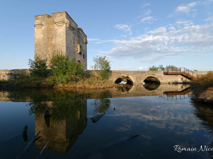 camargue-aguila_voyages-tour_carbonniere