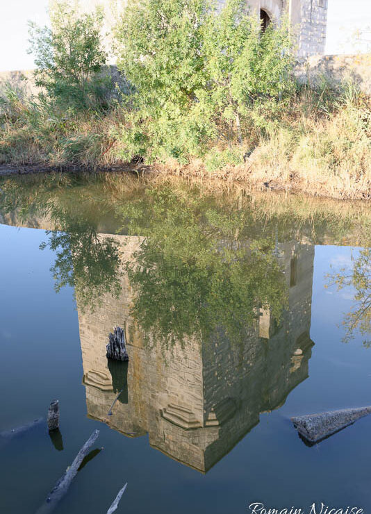 camargue-aguila_voyages-tour_carbonniere