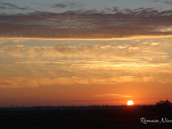 camargue-aguila_voyages-tour_carbonniere