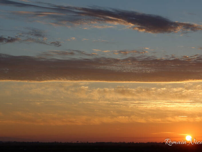 camargue-aguila_voyages-tour_carbonniere