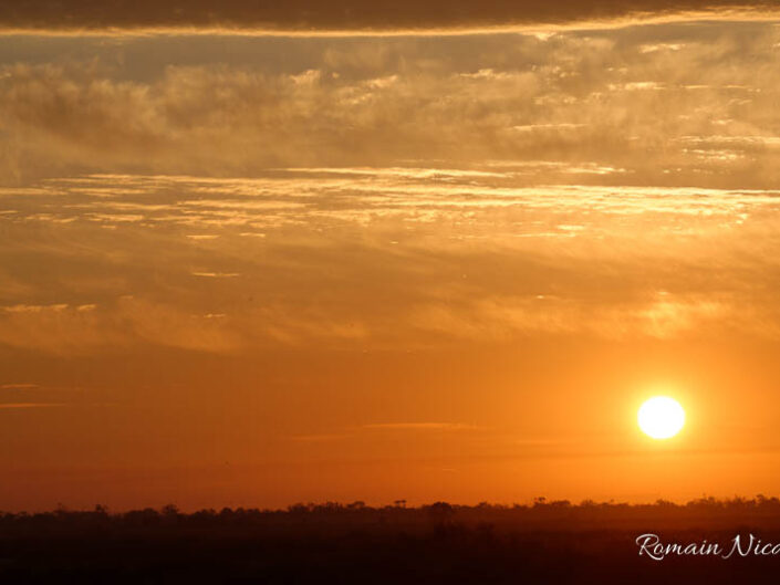 camargue-aguila_voyages-tour_carbonniere