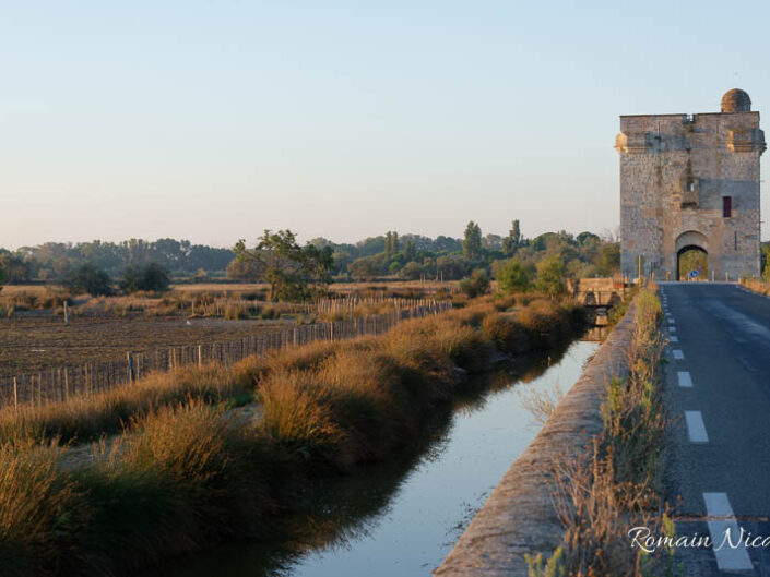 camargue-aguila_voyages-tour_carbonniere