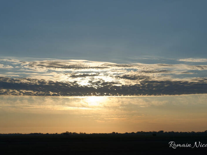 camargue-aguila_voyages-tour_carbonniere